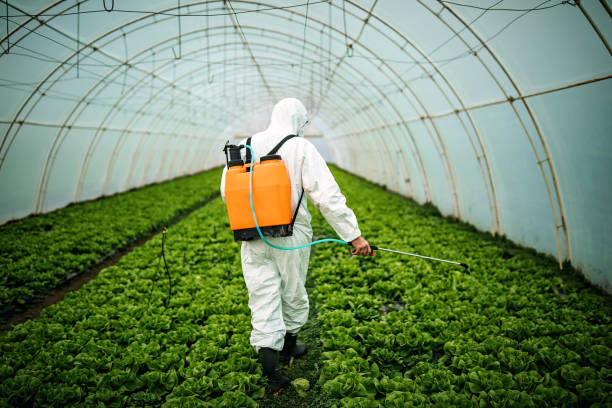 Best Pest Control Near Me  in Scotchtown, NY