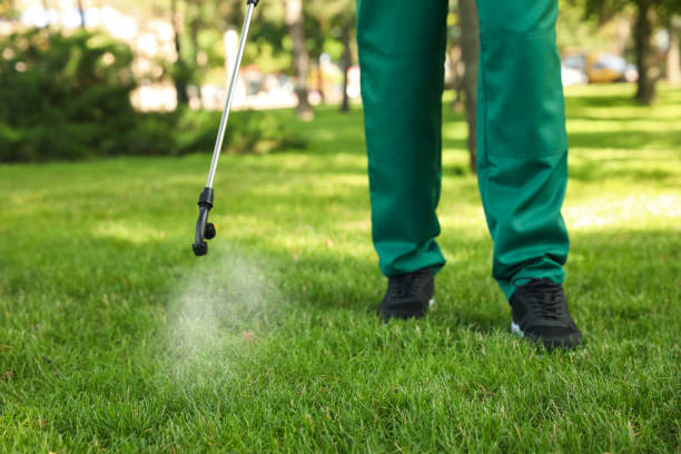 Best Termite Control Services  in Scotchtown, NY