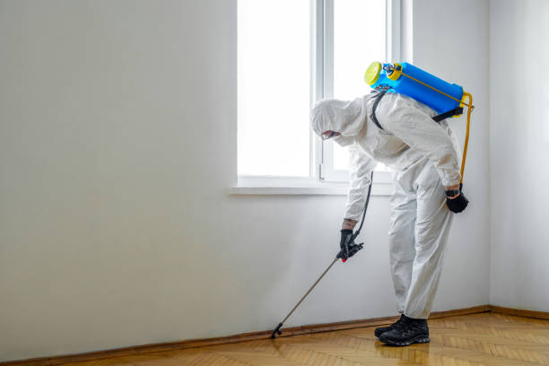 Best Best Pest Control Companies  in Scotchtown, NY