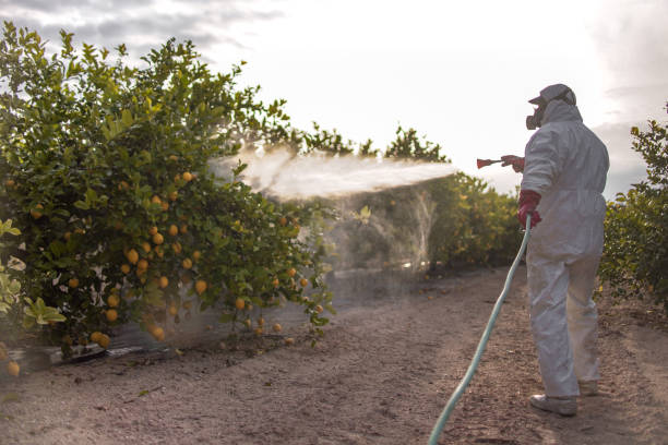Best Pest Control for Homes  in Scotchtown, NY