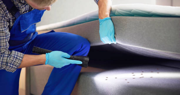 Best Pest Inspection Near Me  in Scotchtown, NY